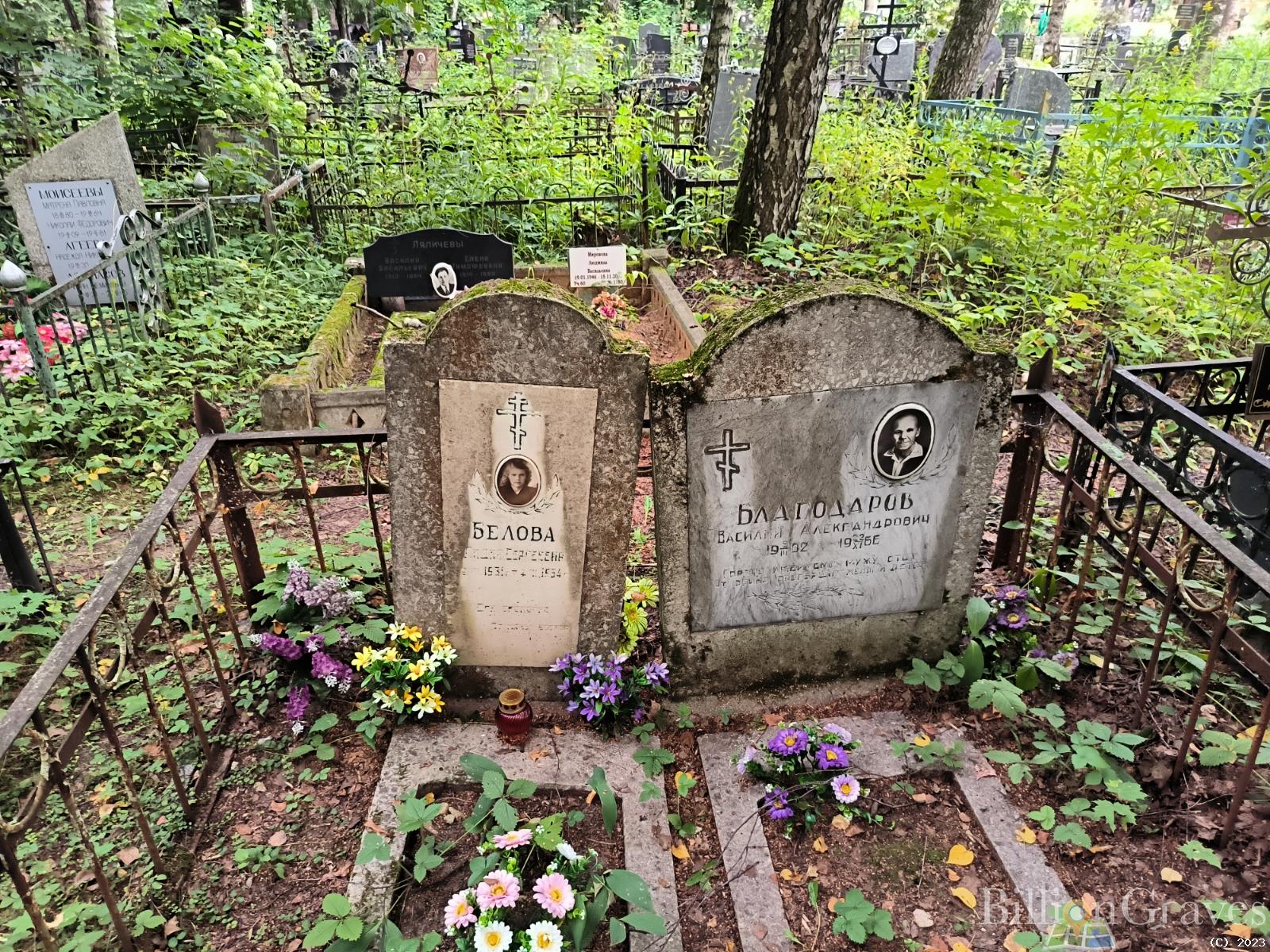 Благодаров Василий Александрович