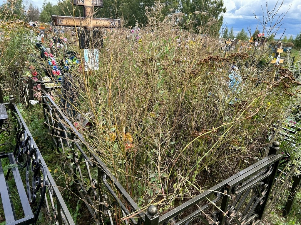 Скворцова Надежда Михайловна