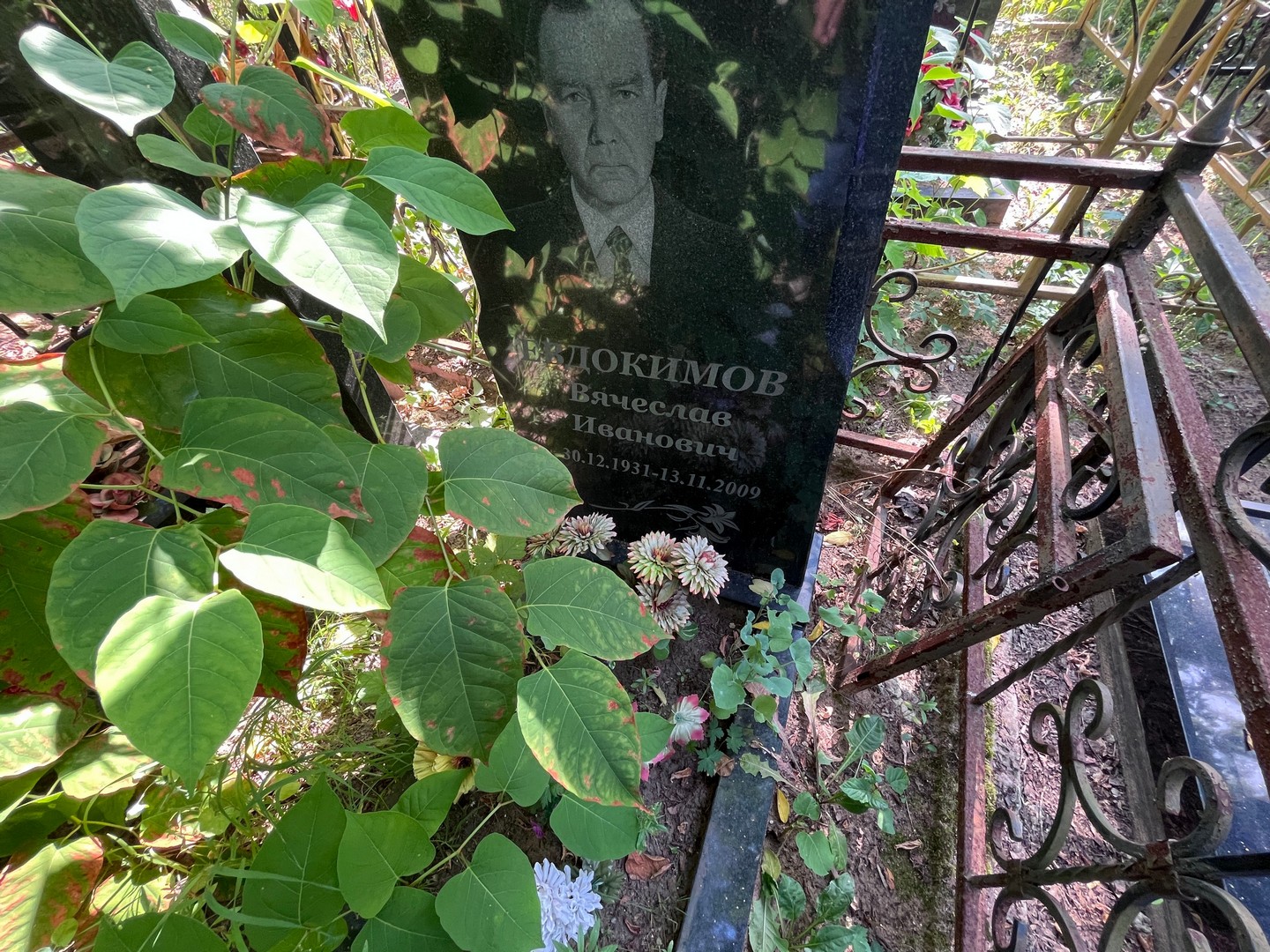 Евдокимов