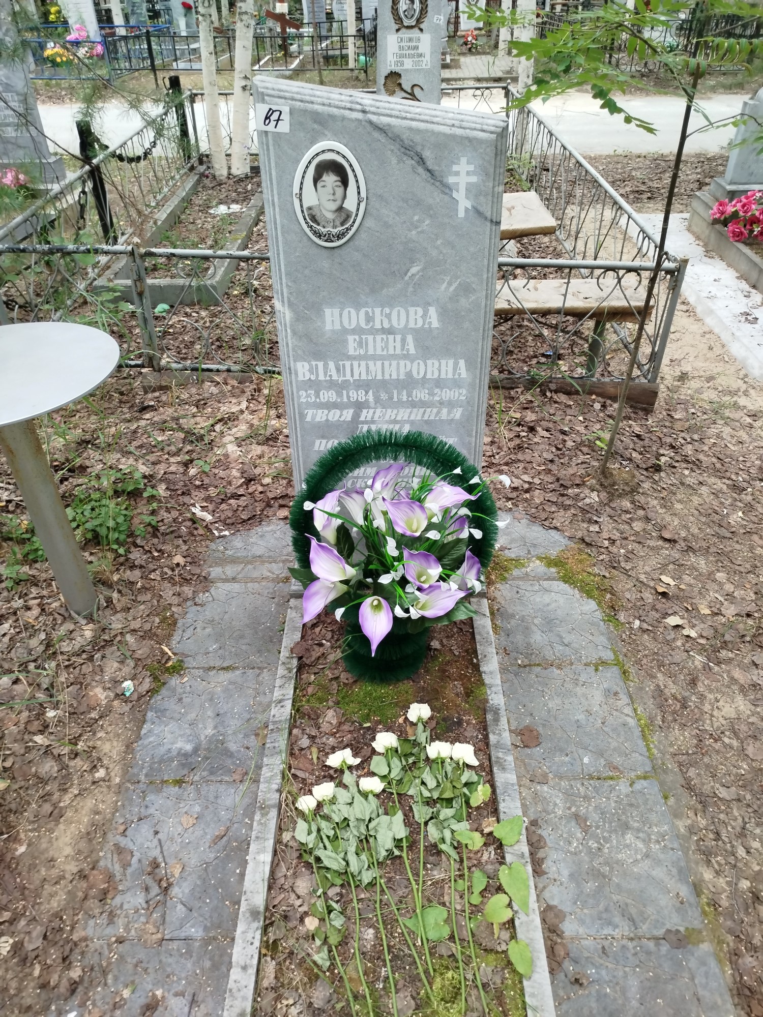Носкова Елена Владимировна