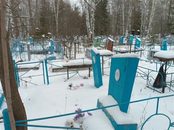 Стихин Аркадий Васильевич