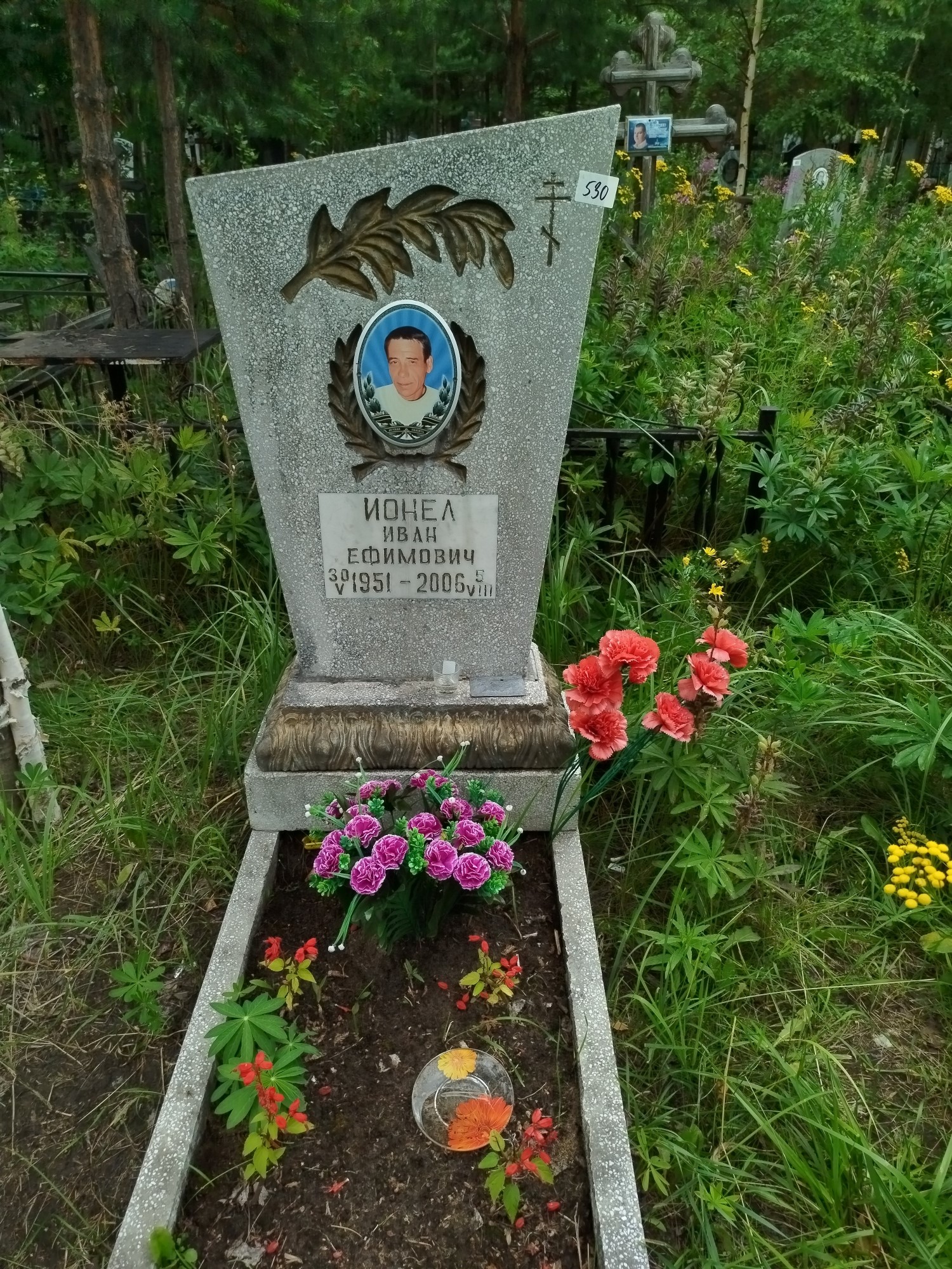 Ионел Иван Ефимович