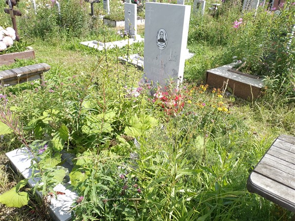 Пехтушев Александр Германович