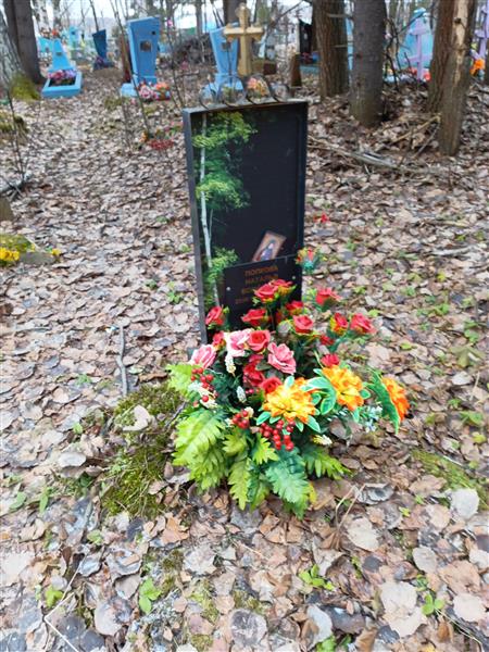 Попкова Наталья Борисовна