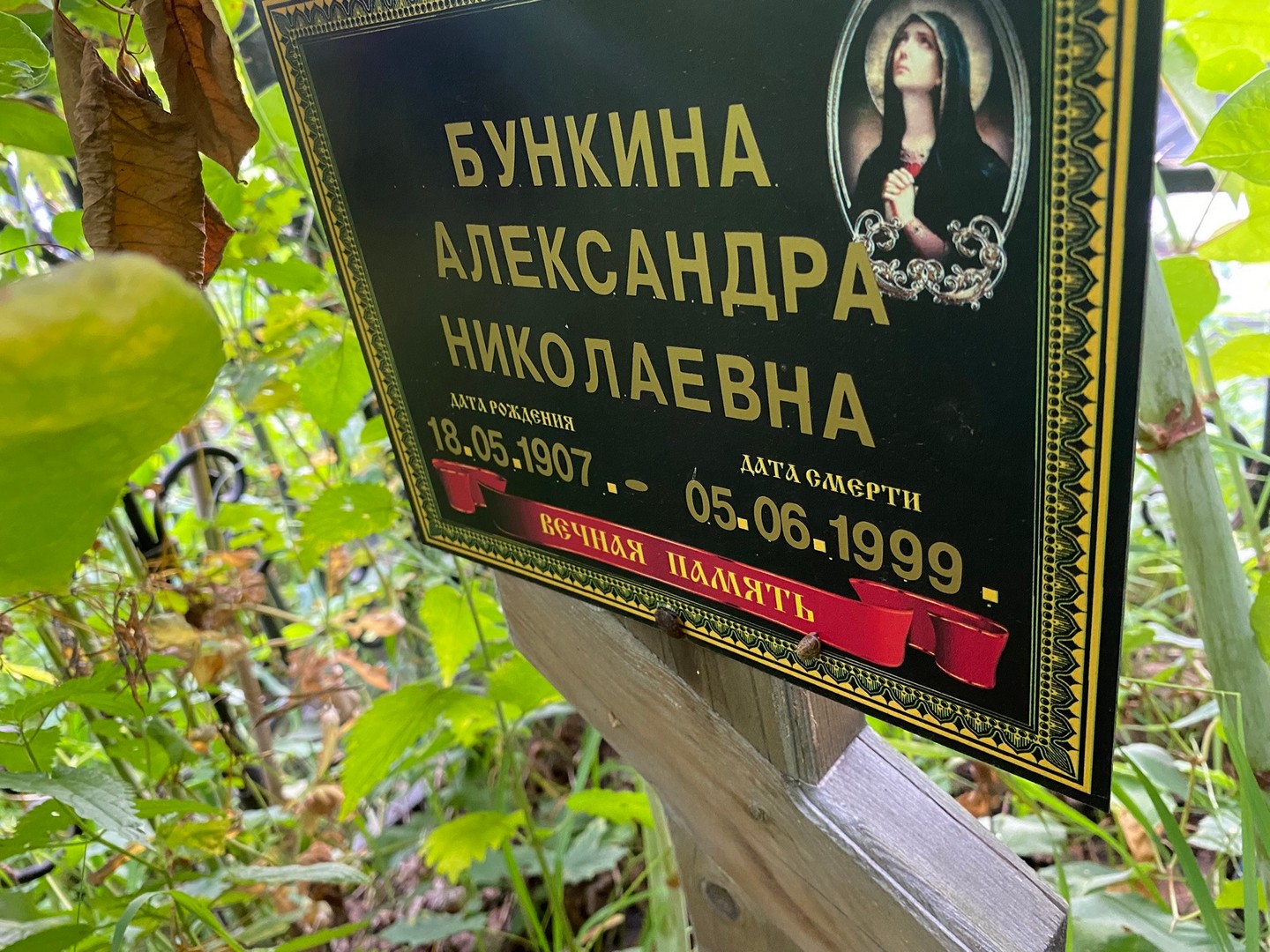 Бункина Александра Николаевна