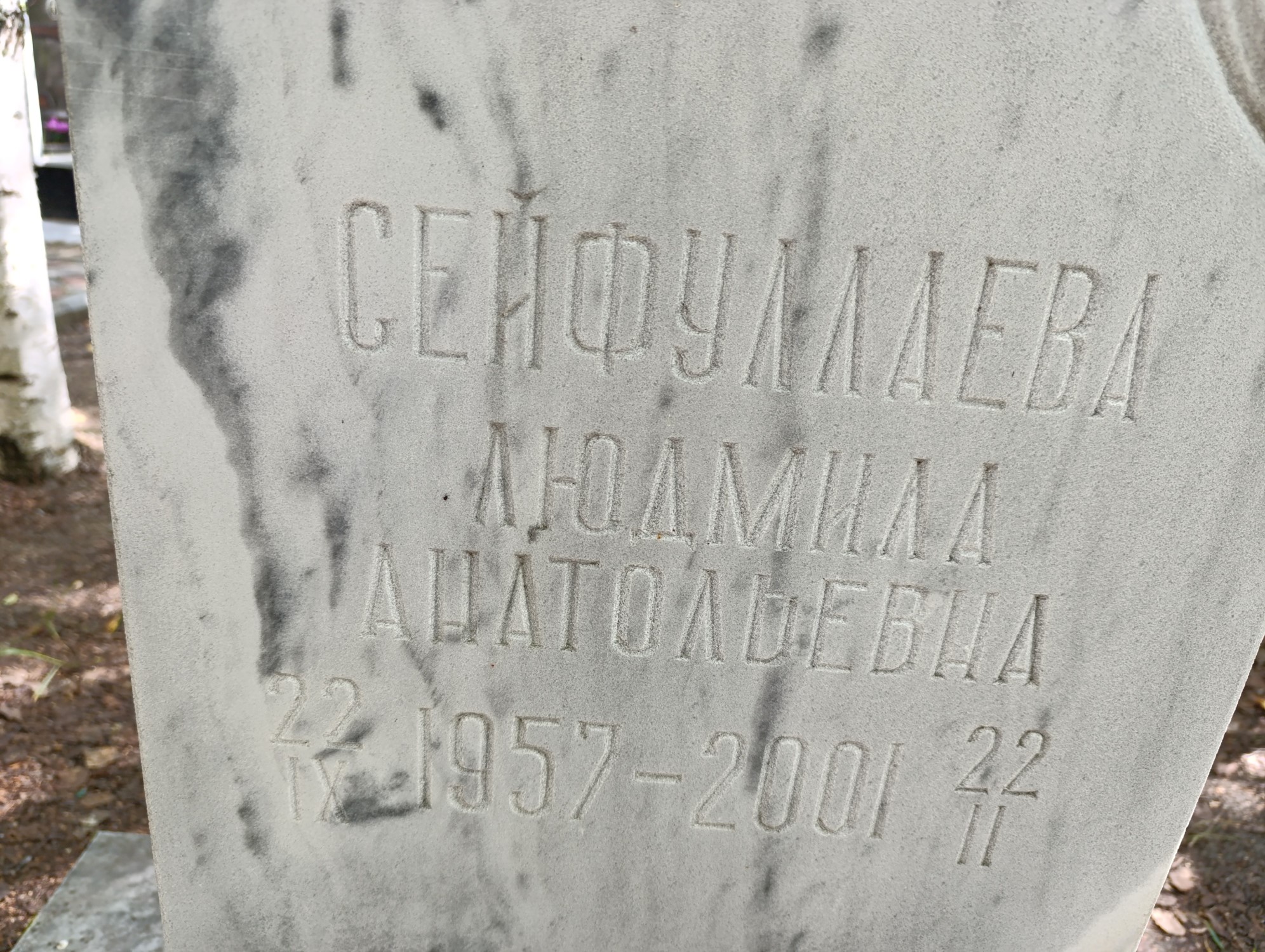 Сейфуллаева Людмила Анатольевна