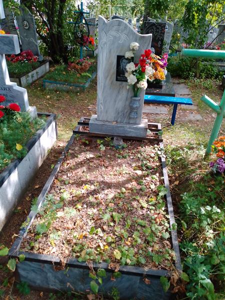Плохих Михаил Кузьмич