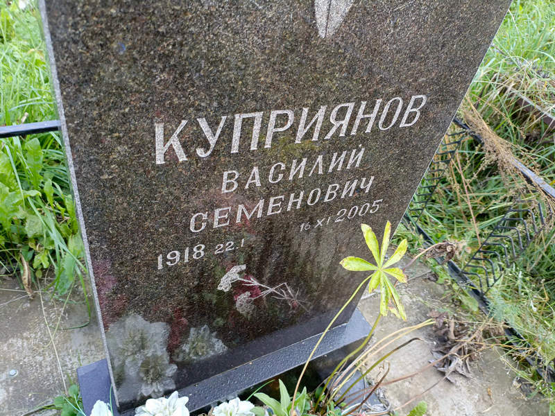 Куприянов