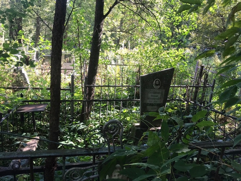 Вершинин Николай Александрович