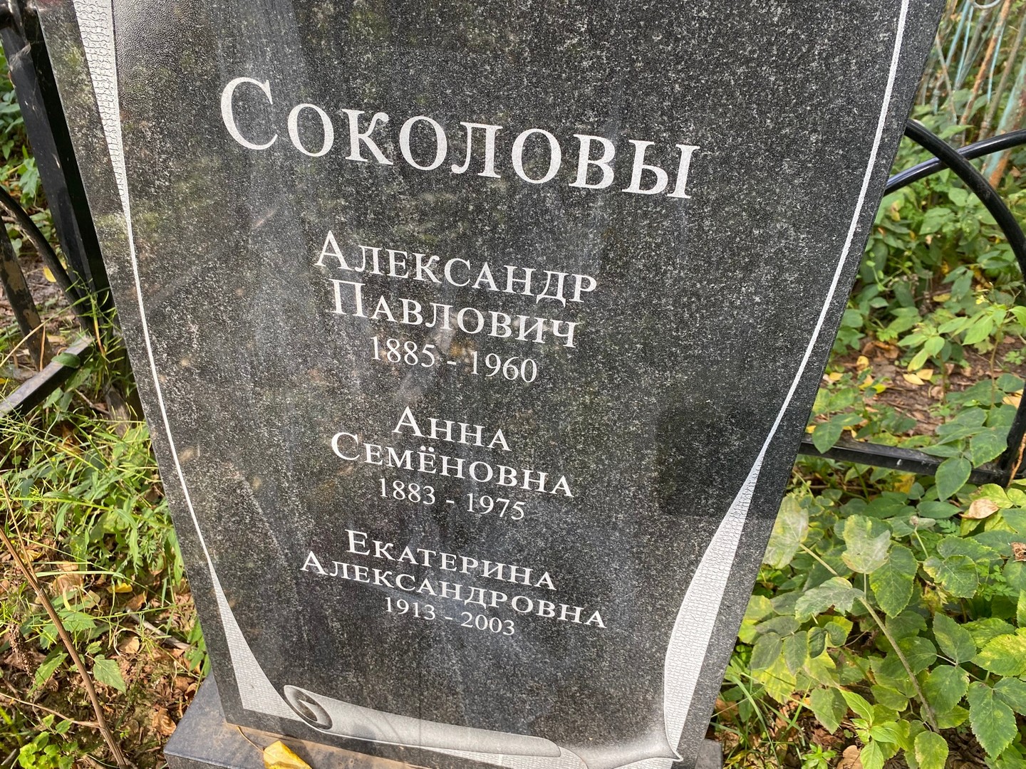 Соколов