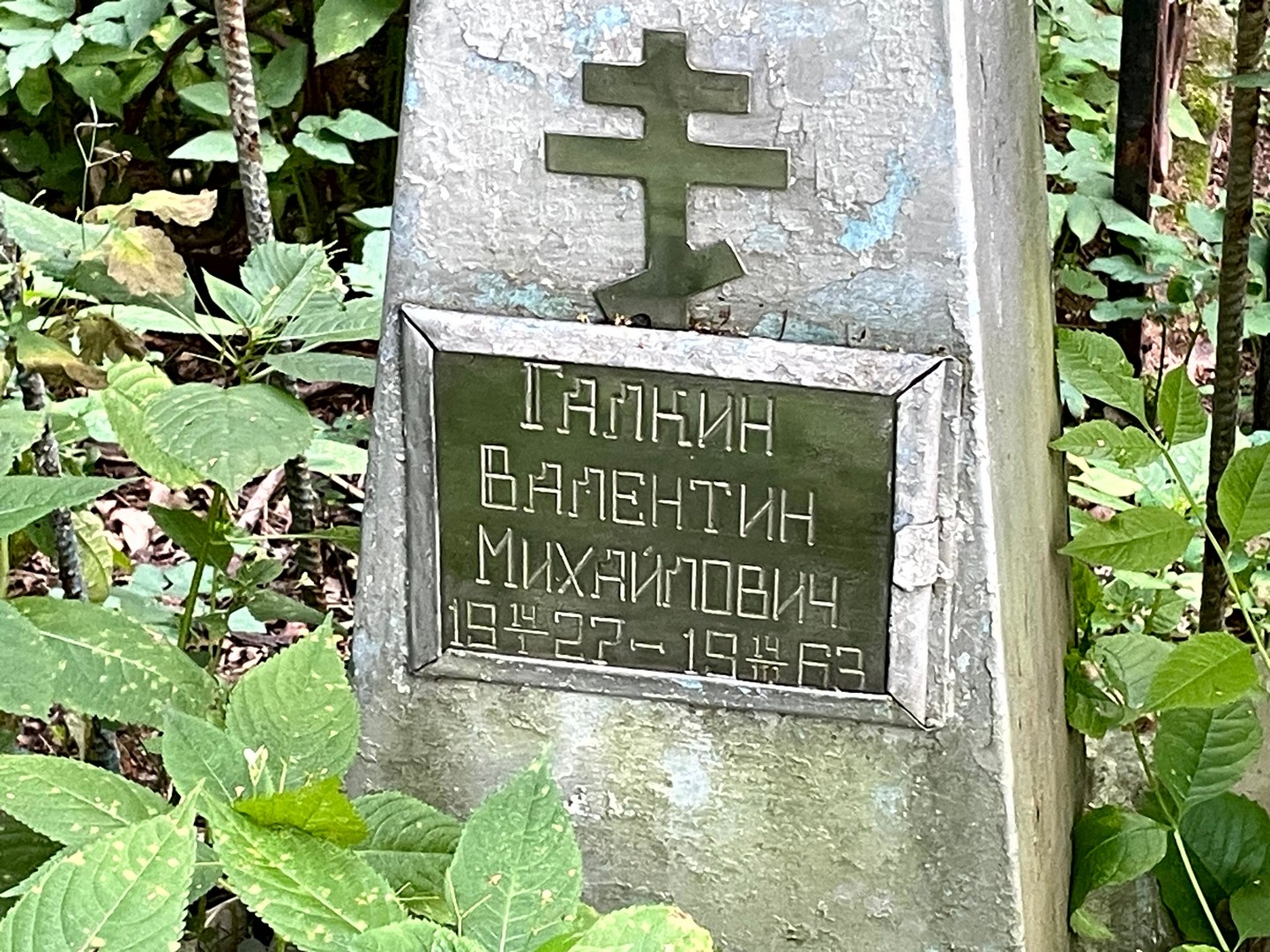 Галкин