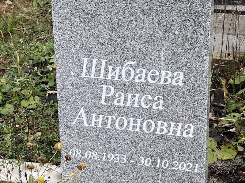 Шибаева