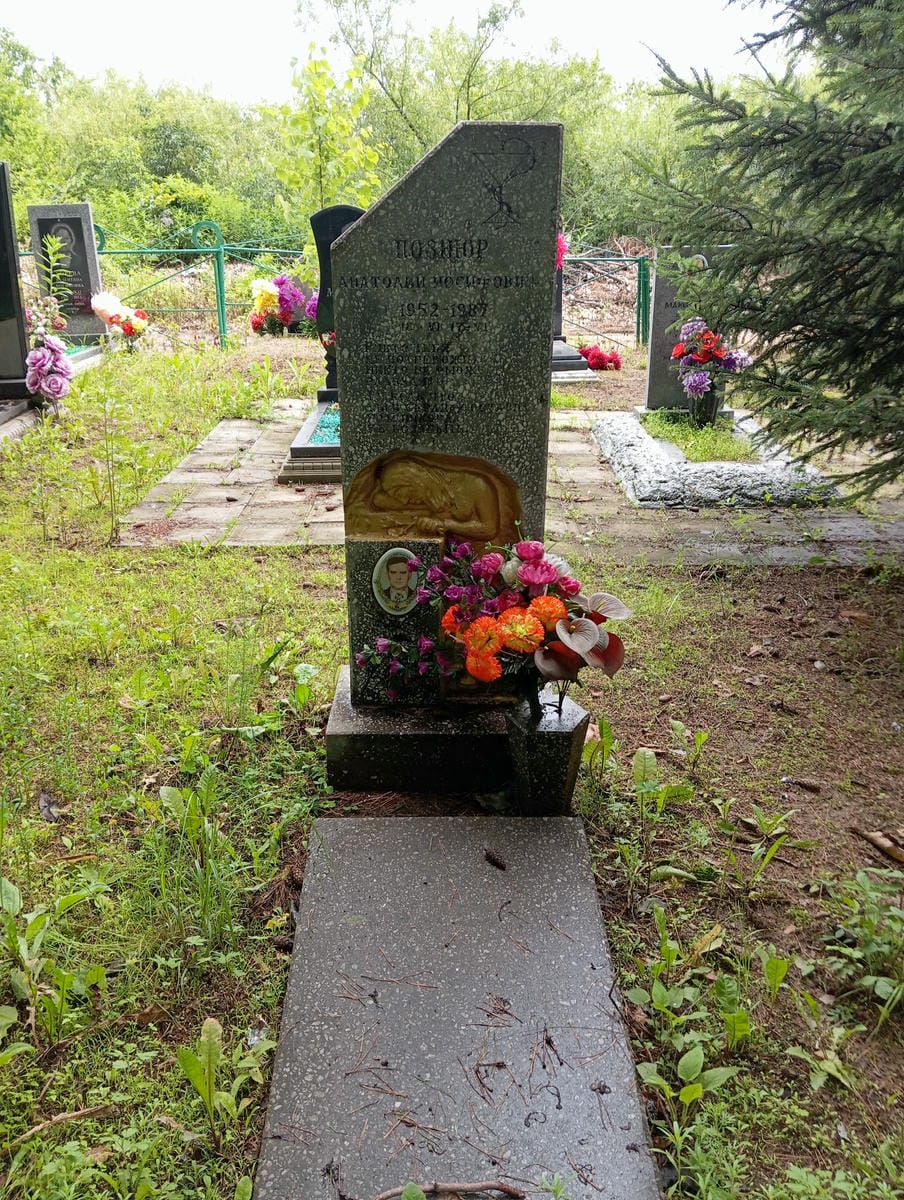 Познюр Анатолий Иосифович