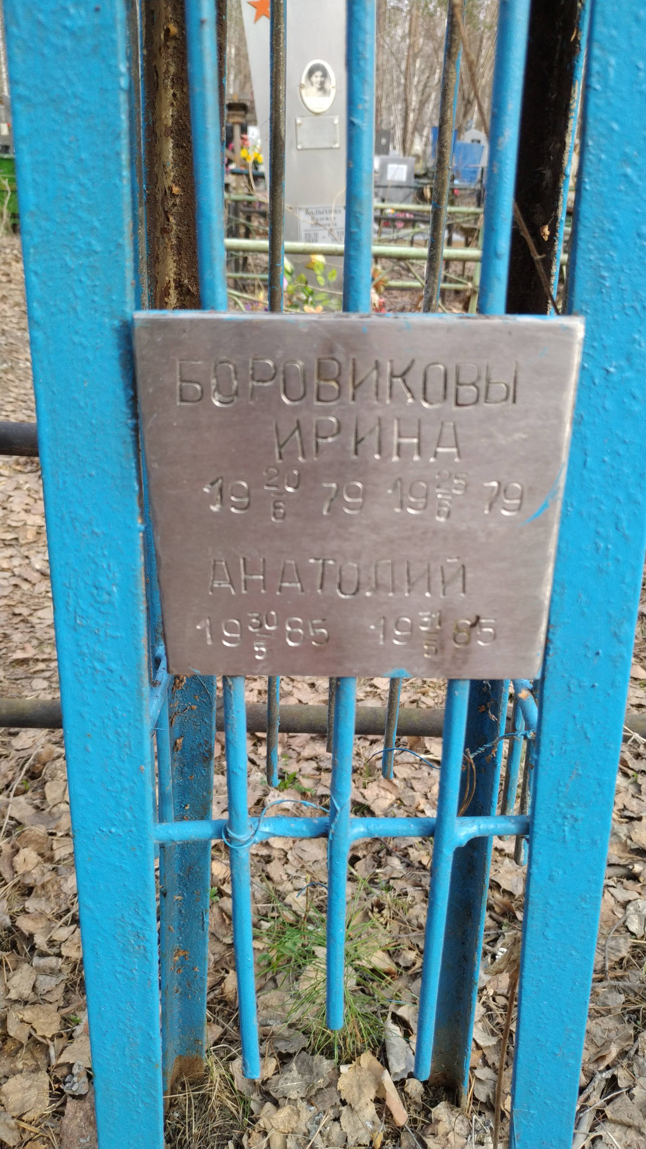 Боровикова Ирина