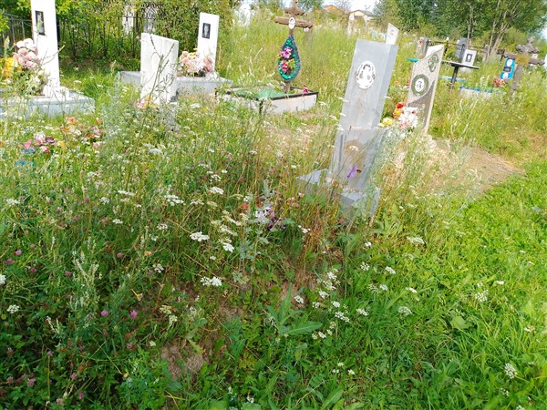 Перепелицын Николай Иванович