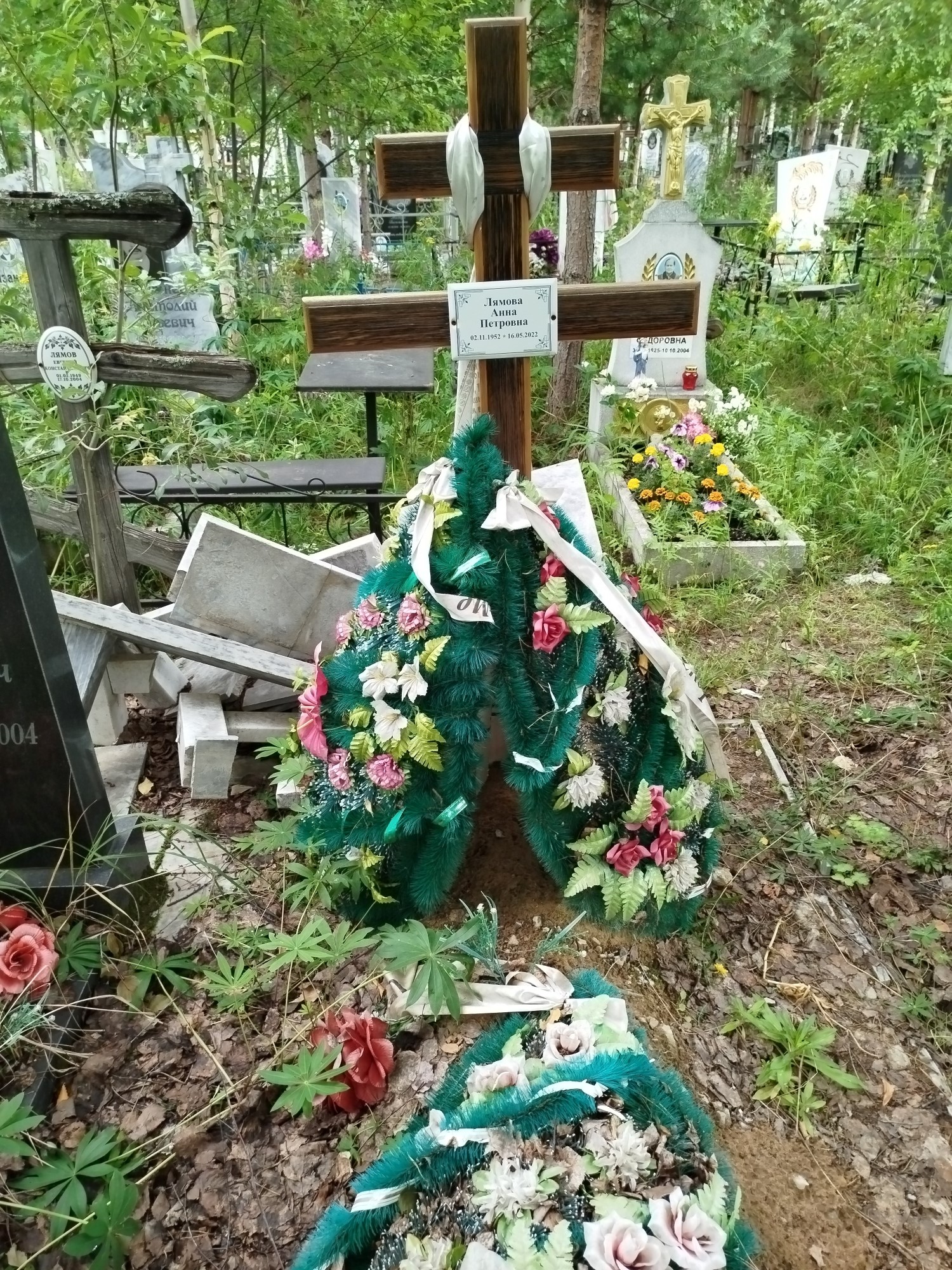 Лямова Анна Петровна