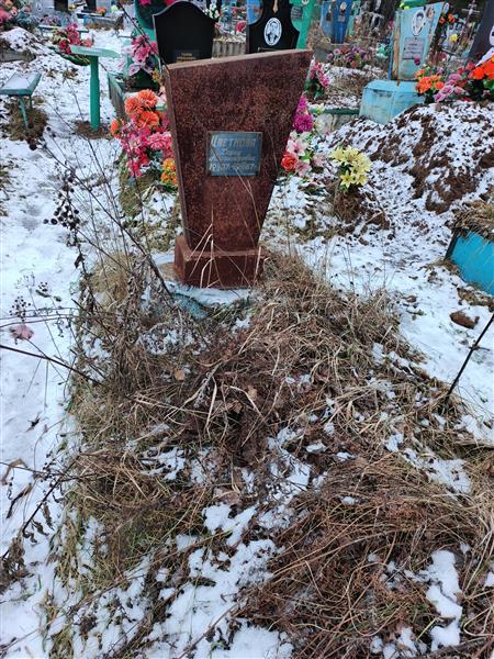 Цветнова Дарья Александровна