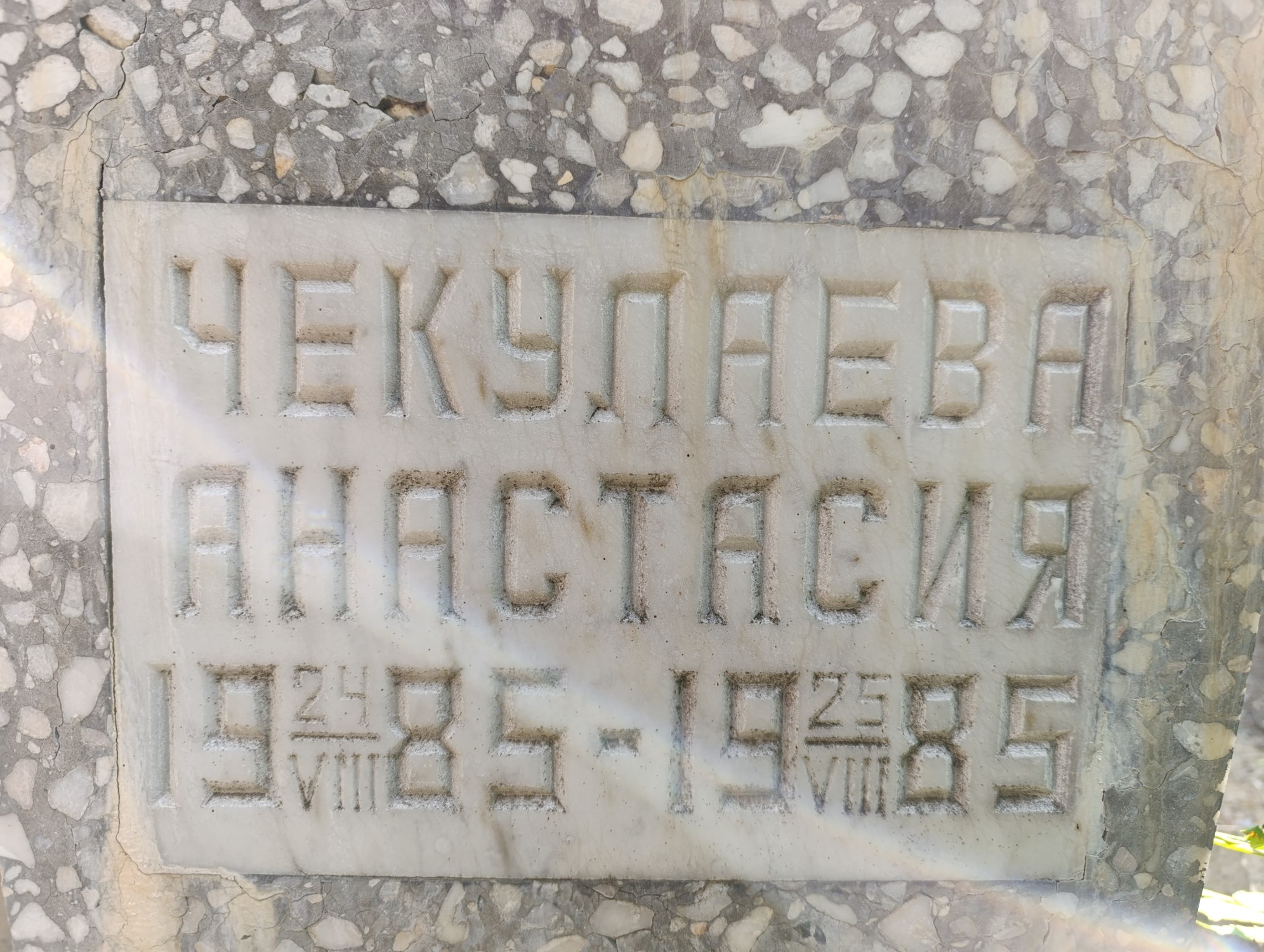Чекулаева Анастасия