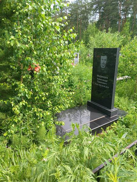Медведев Александр Павлович