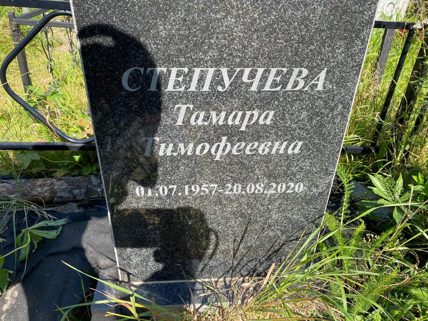 Степучева