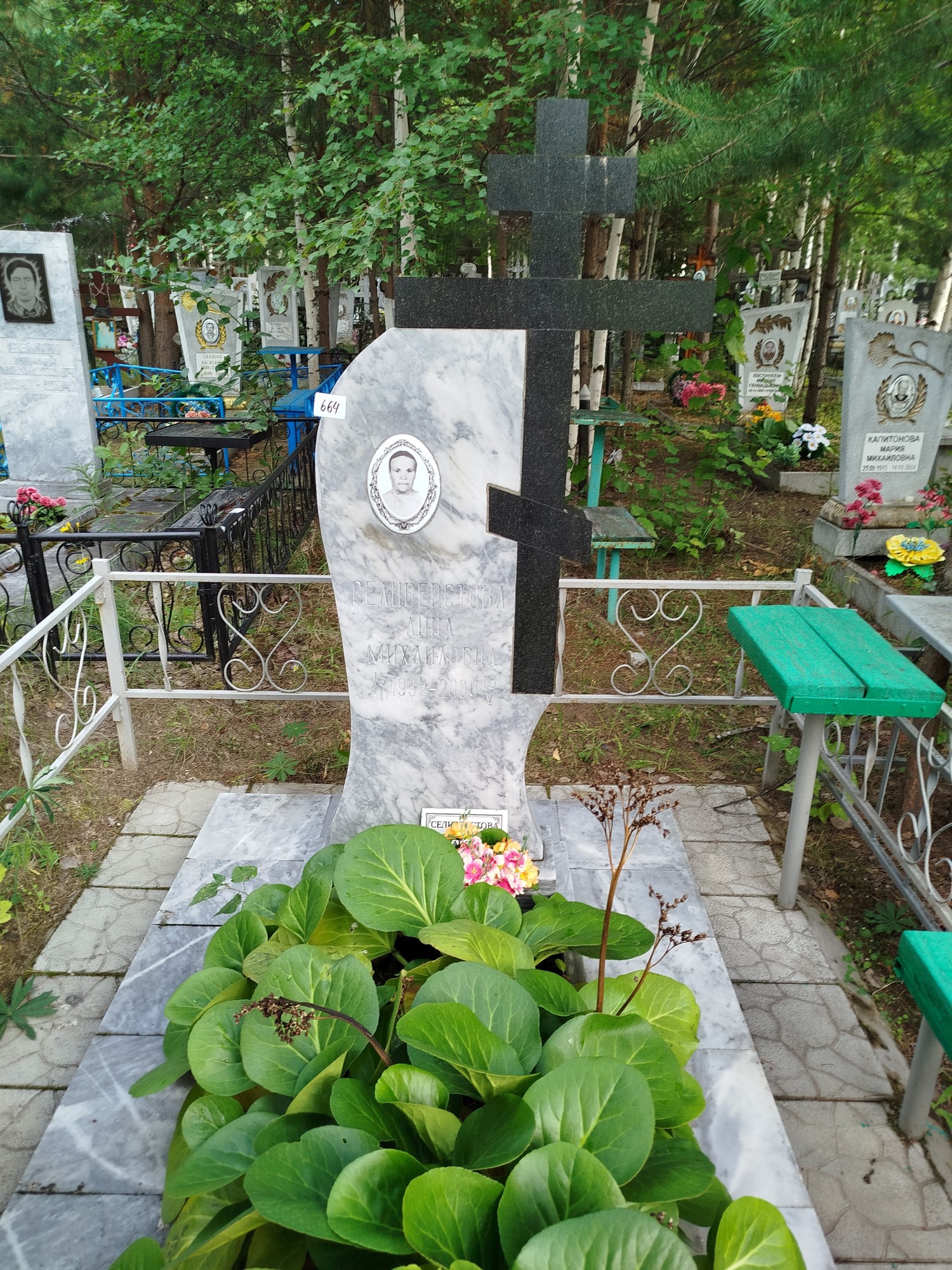 Селиверстова Анна Михайловна