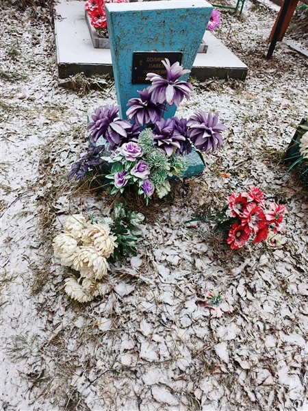 Долинин Павел Яковлевич