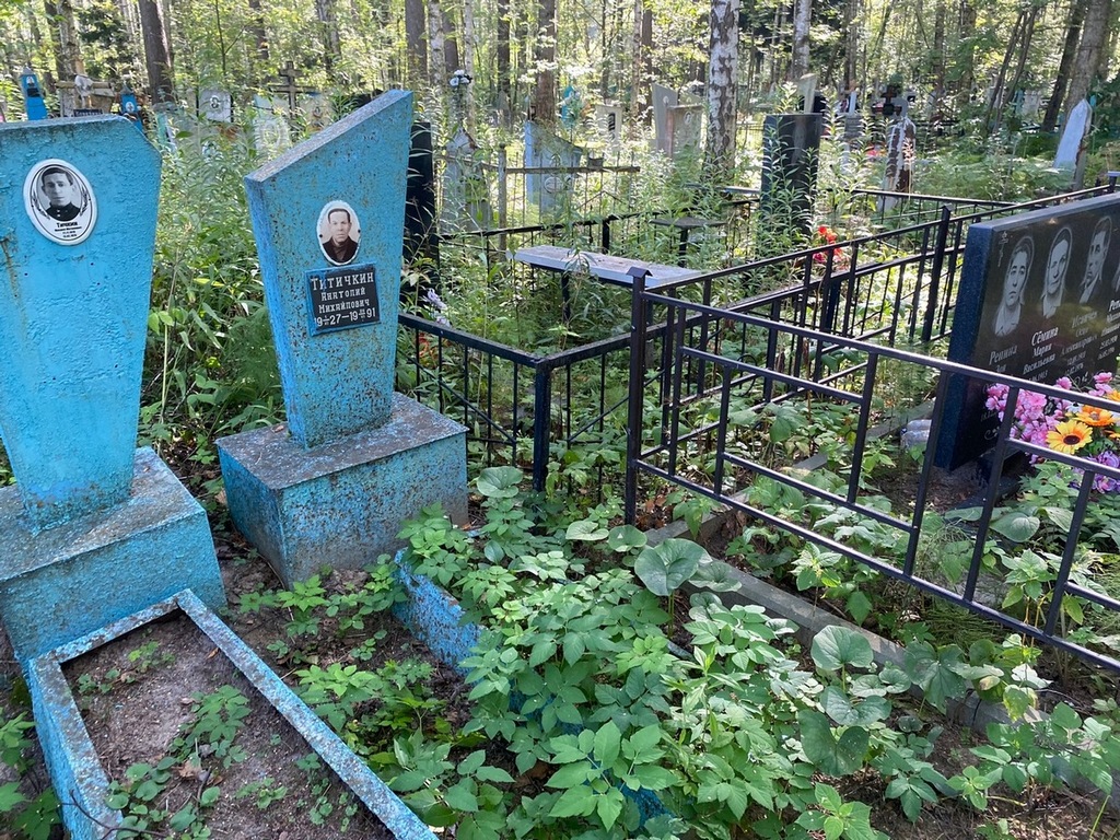Титичкин Анатолий Михайлович