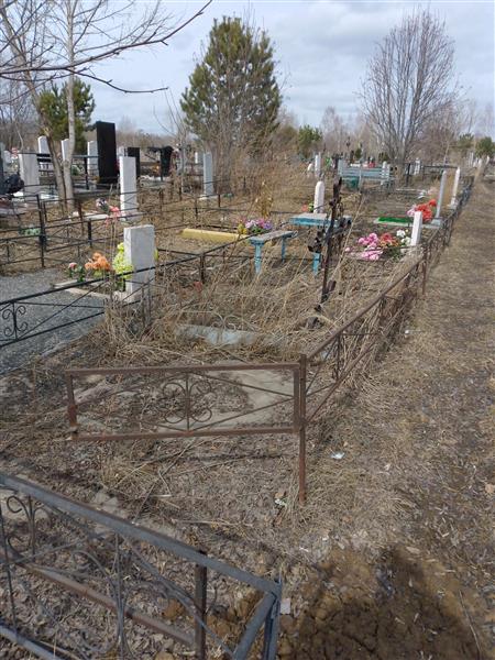 Бражников Александр Александрович