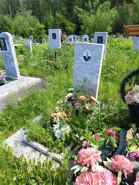 Токарев Павел Георгиевич