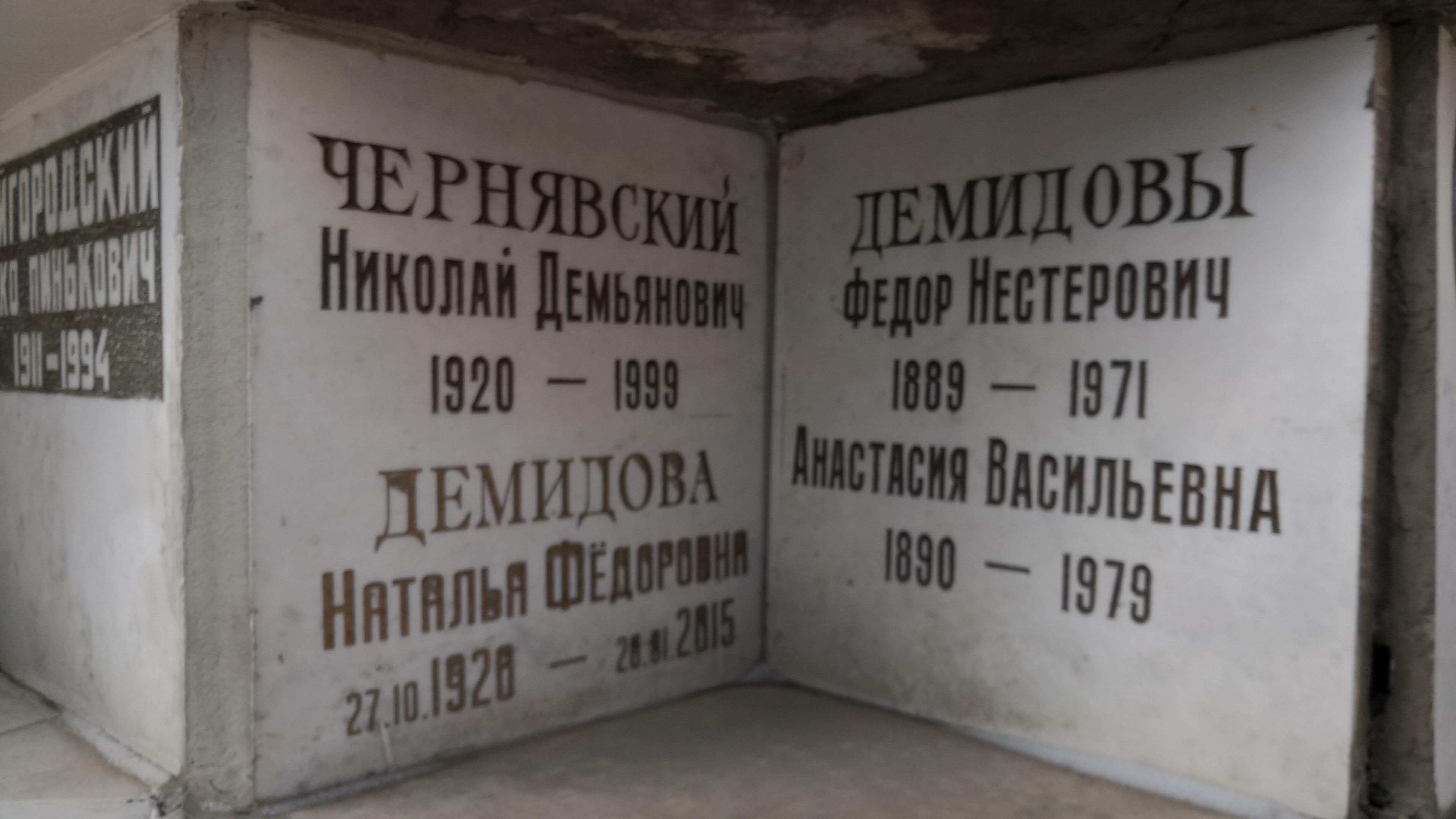 Демидова Наталья Федоровна