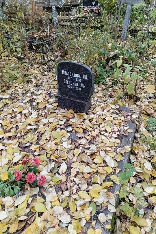 Стеценко Н. М.