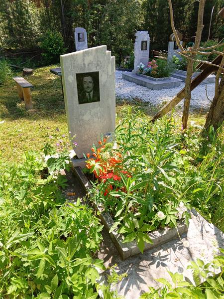 Толкачев Владислав Михайлович
