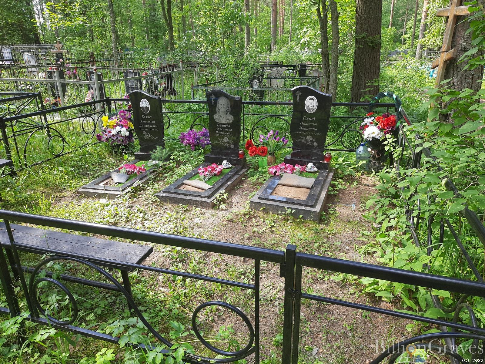 Голод Наталья Ивановна