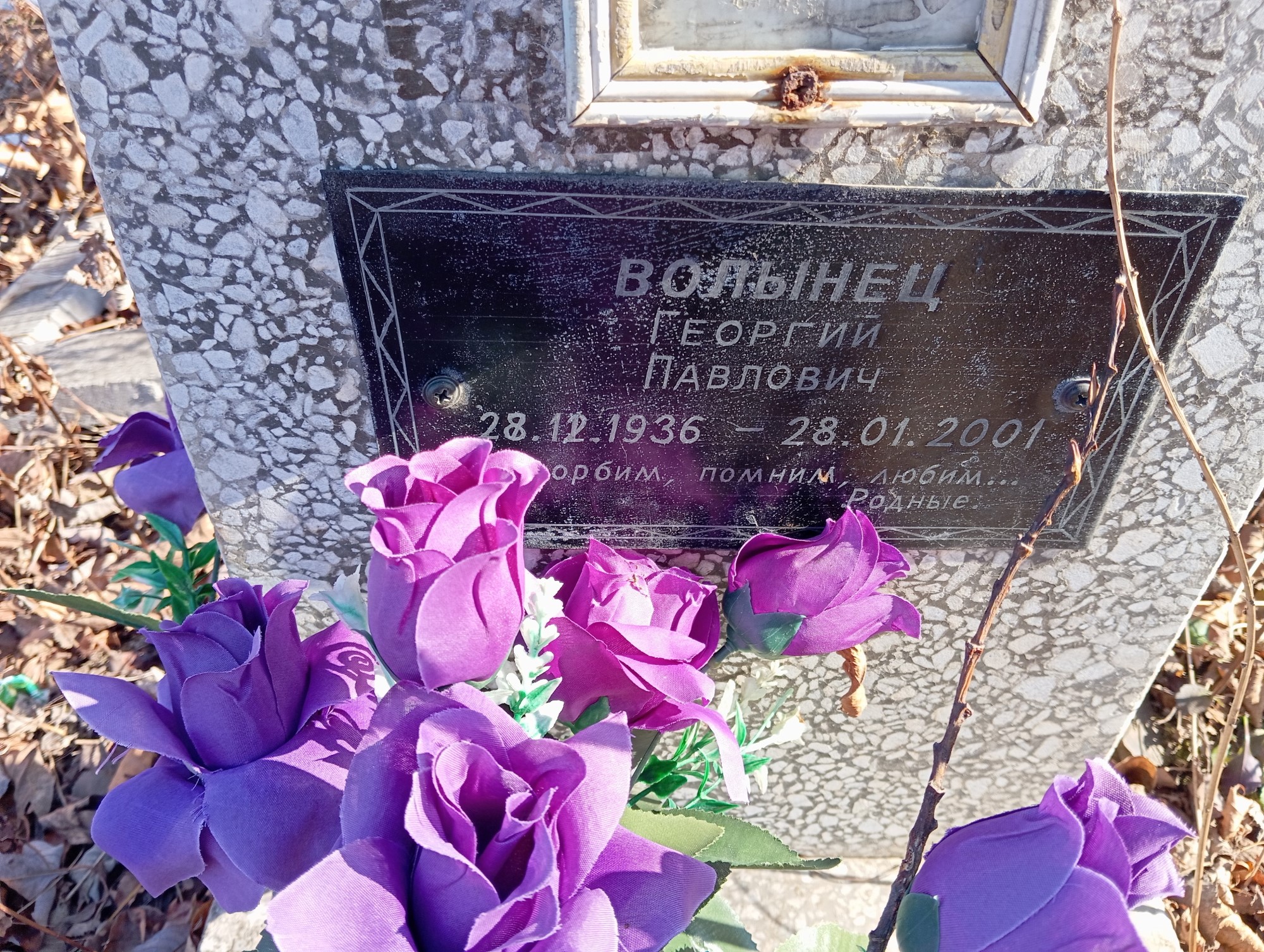 Волынец Георгий Павлович