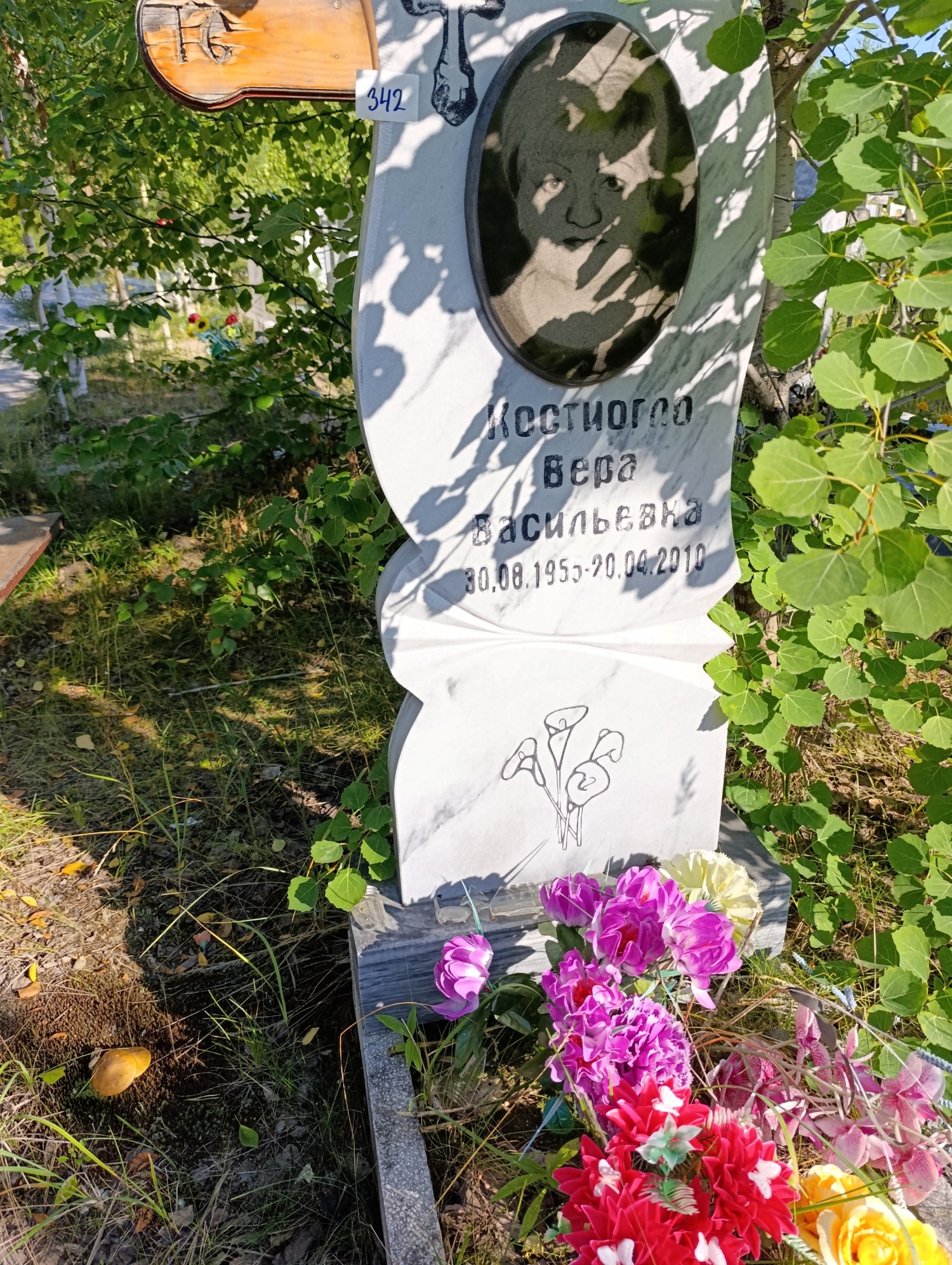 Костиогло Вера Васильевна