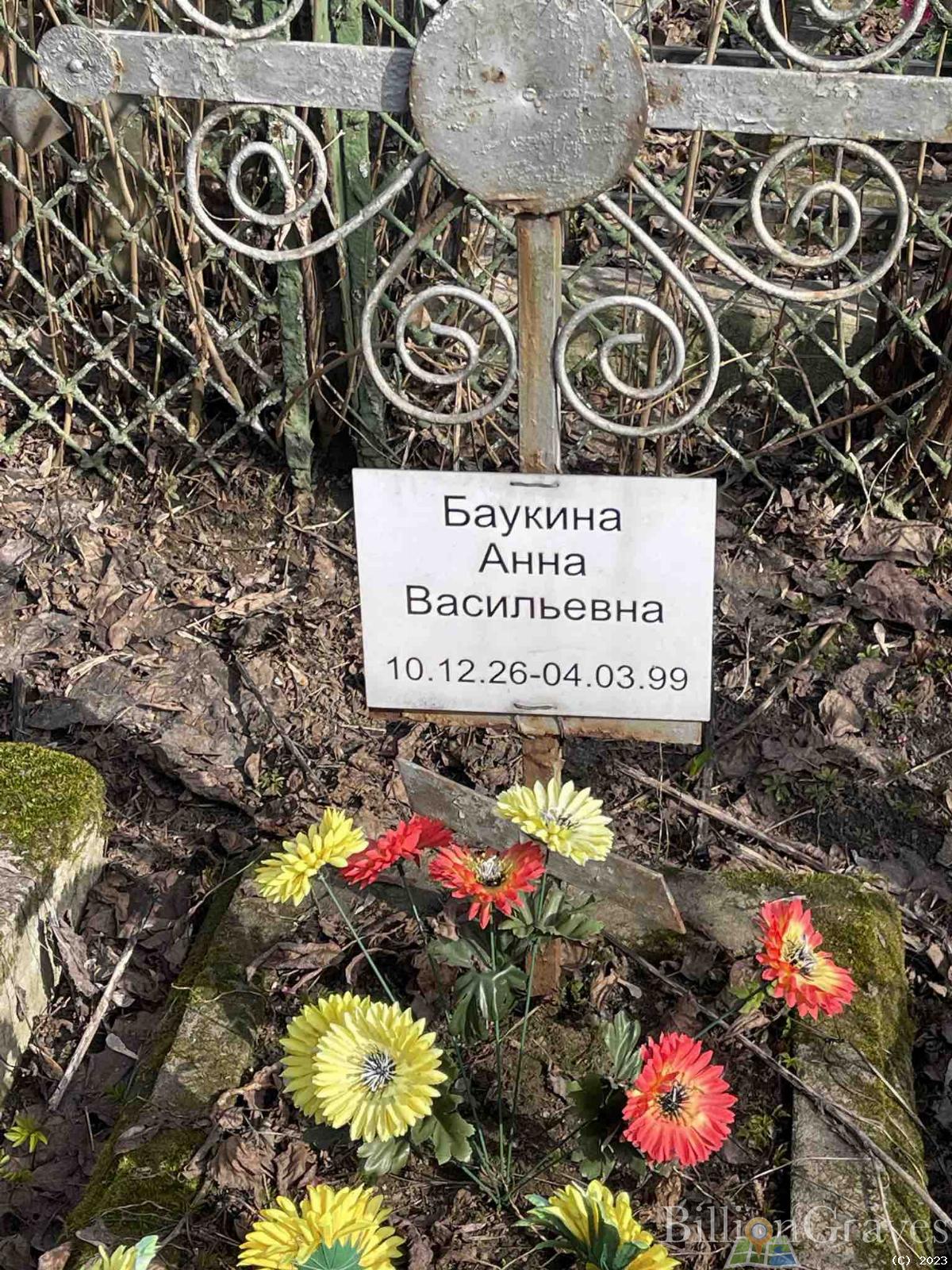 Баукина Анна Васильевна