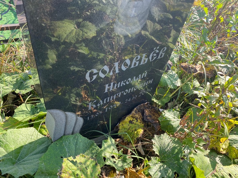 Соловьев