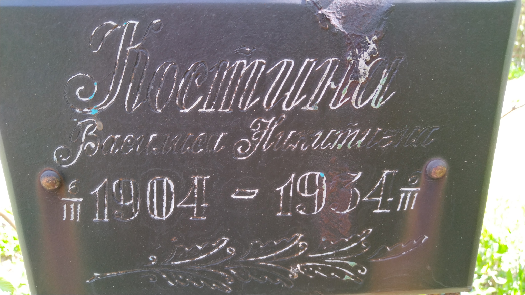 Костина Василиса Никитична