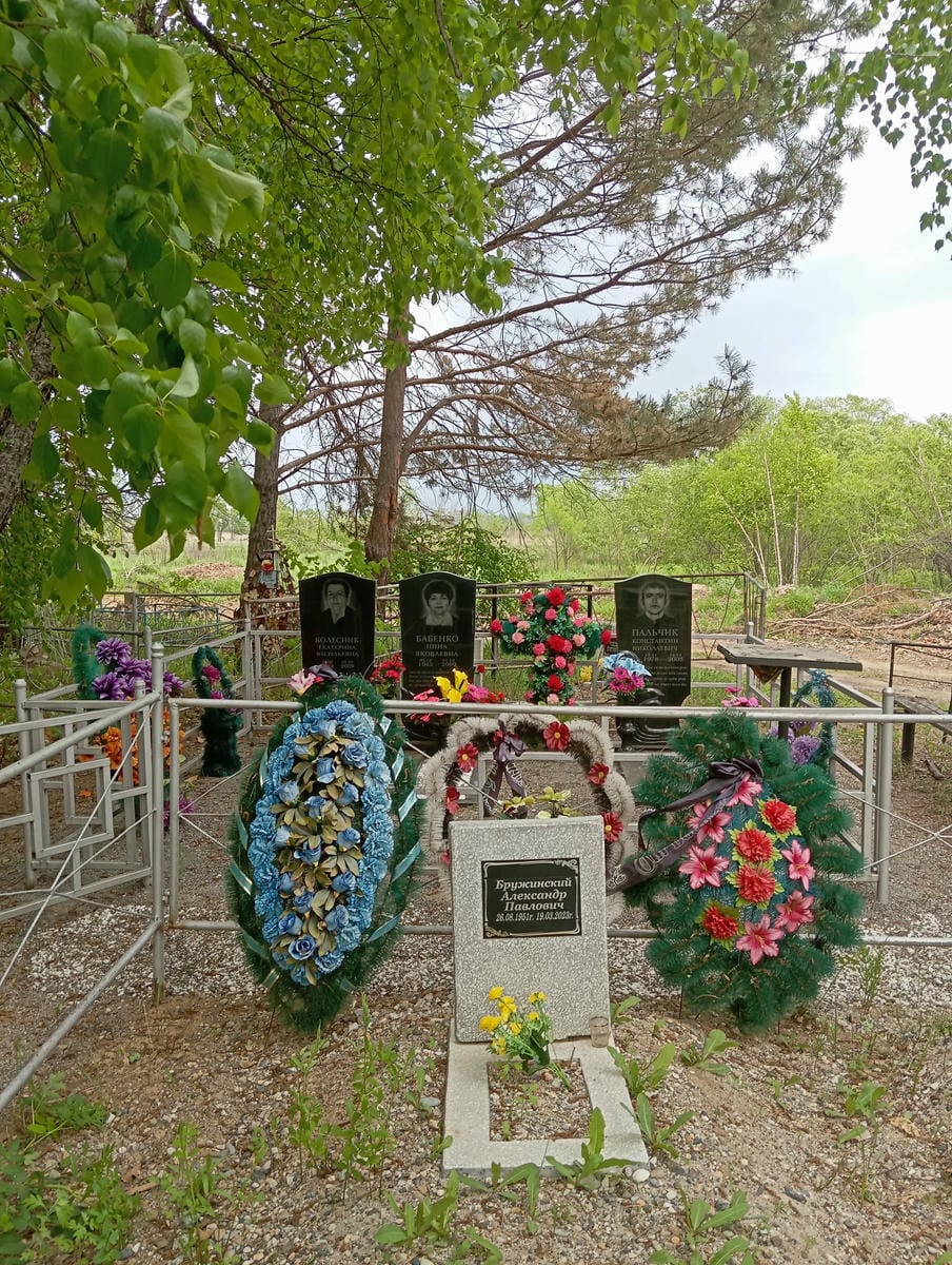 Бружинский Александр Павлович