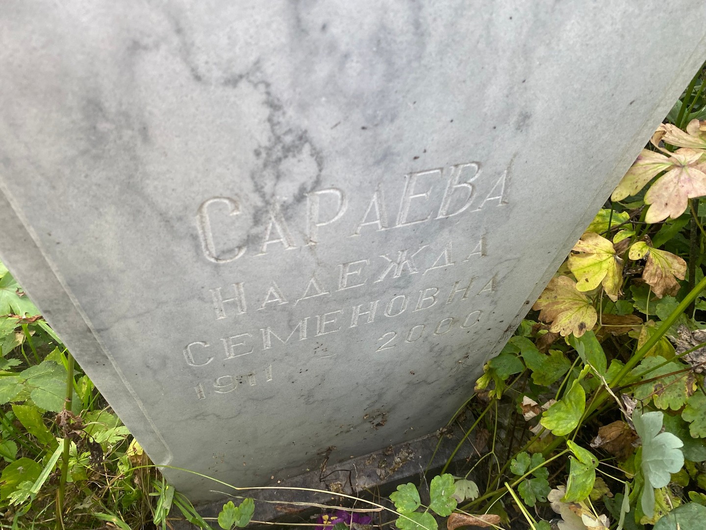 Сараева