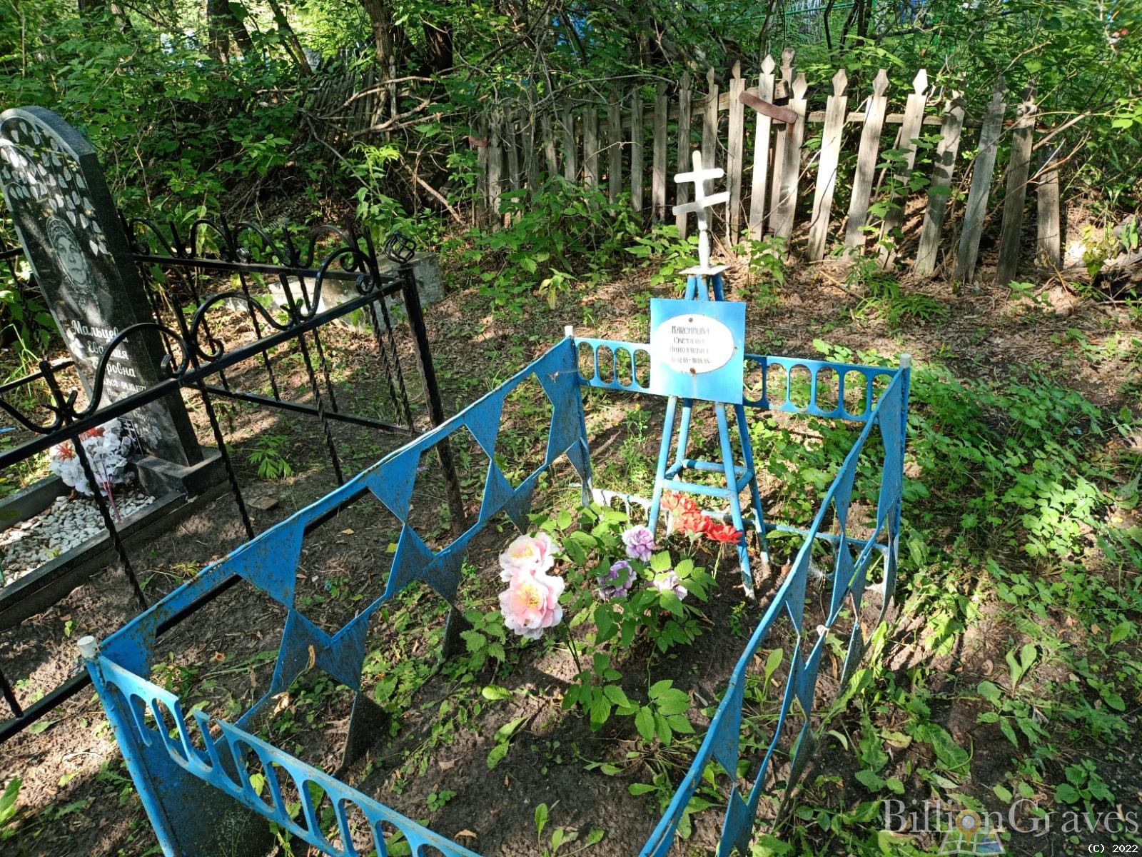 Максимова Светлана Николаевна
