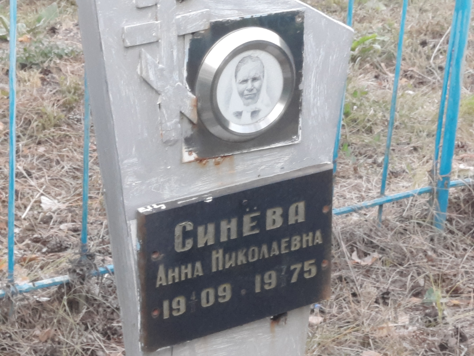Синёва Анна Николаевна