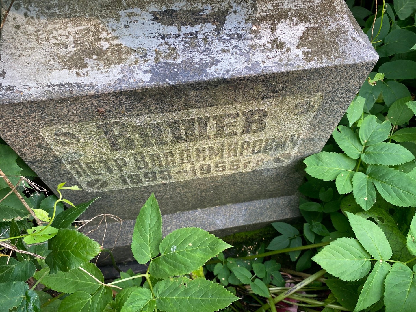 Вишев
