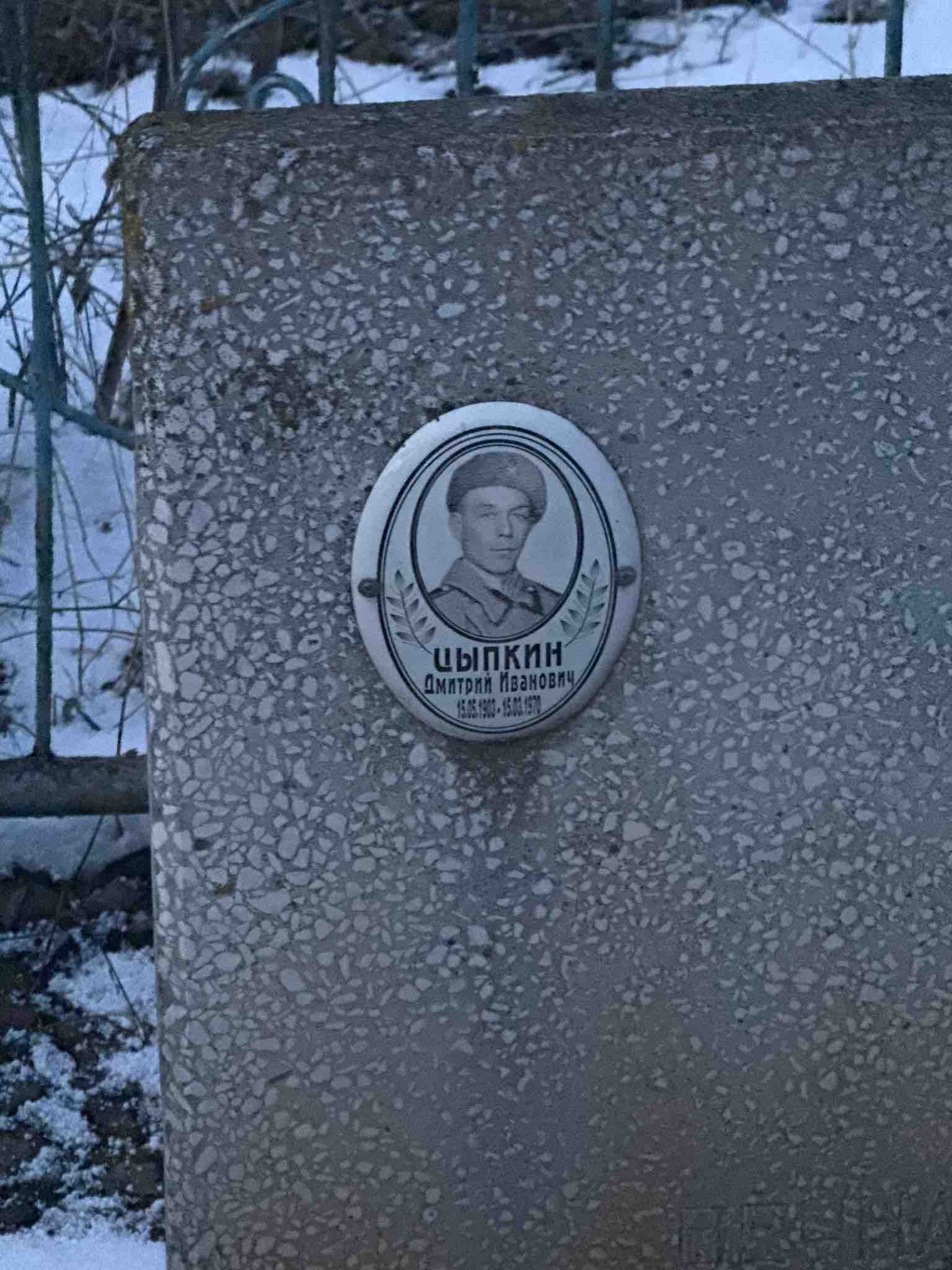 Цыпкин Дмитрий Иванович