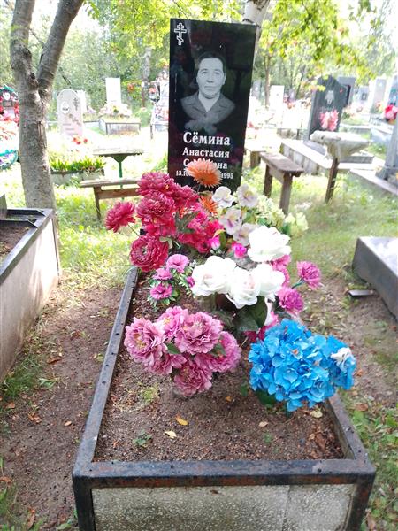 Сёмина Анастасия Сергеевна