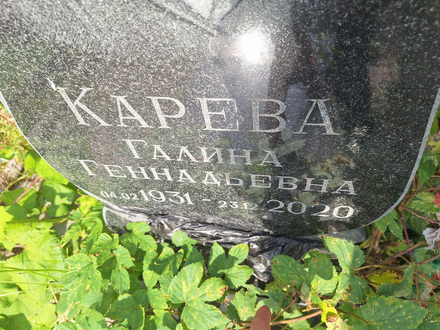 Карева