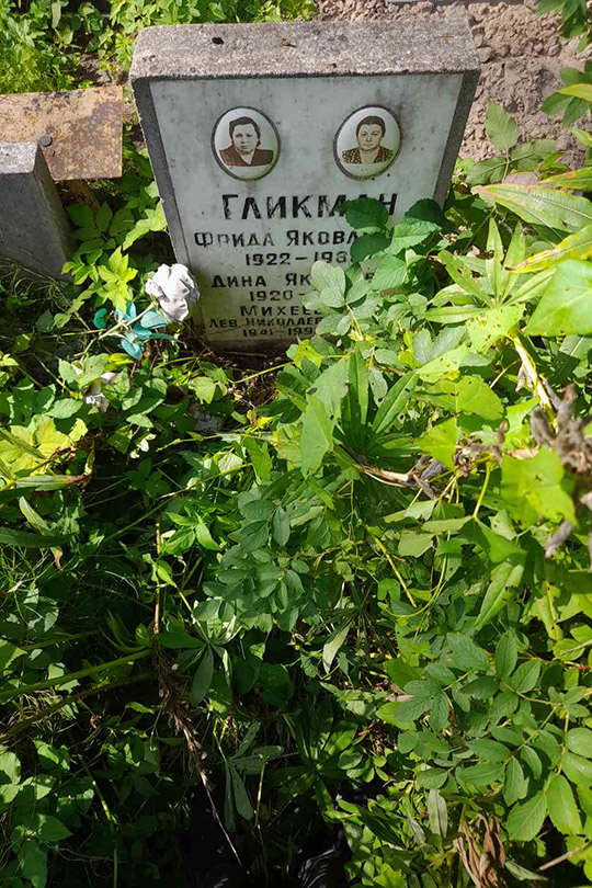 Михеев Лев Николаевич