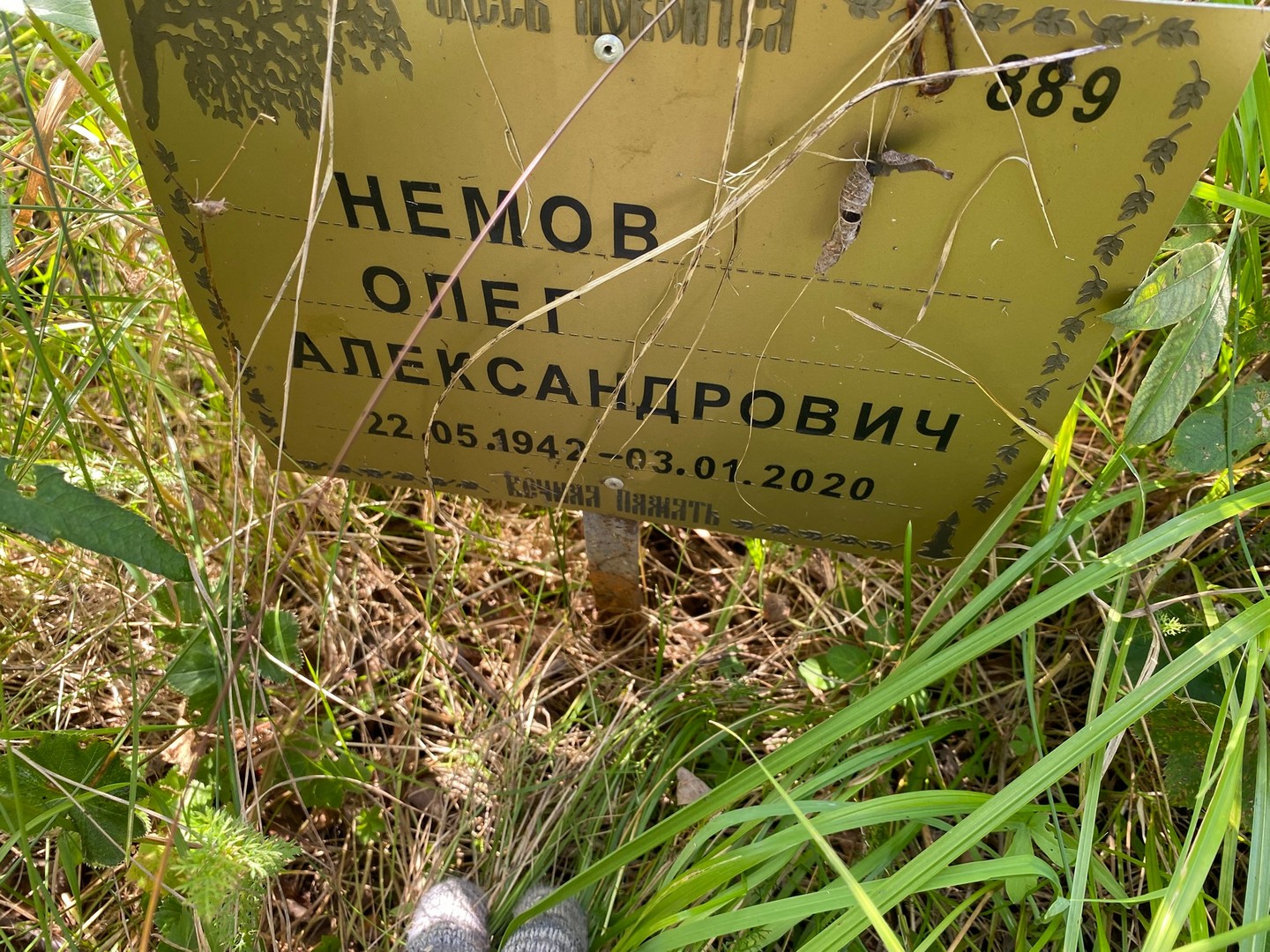 Немов
