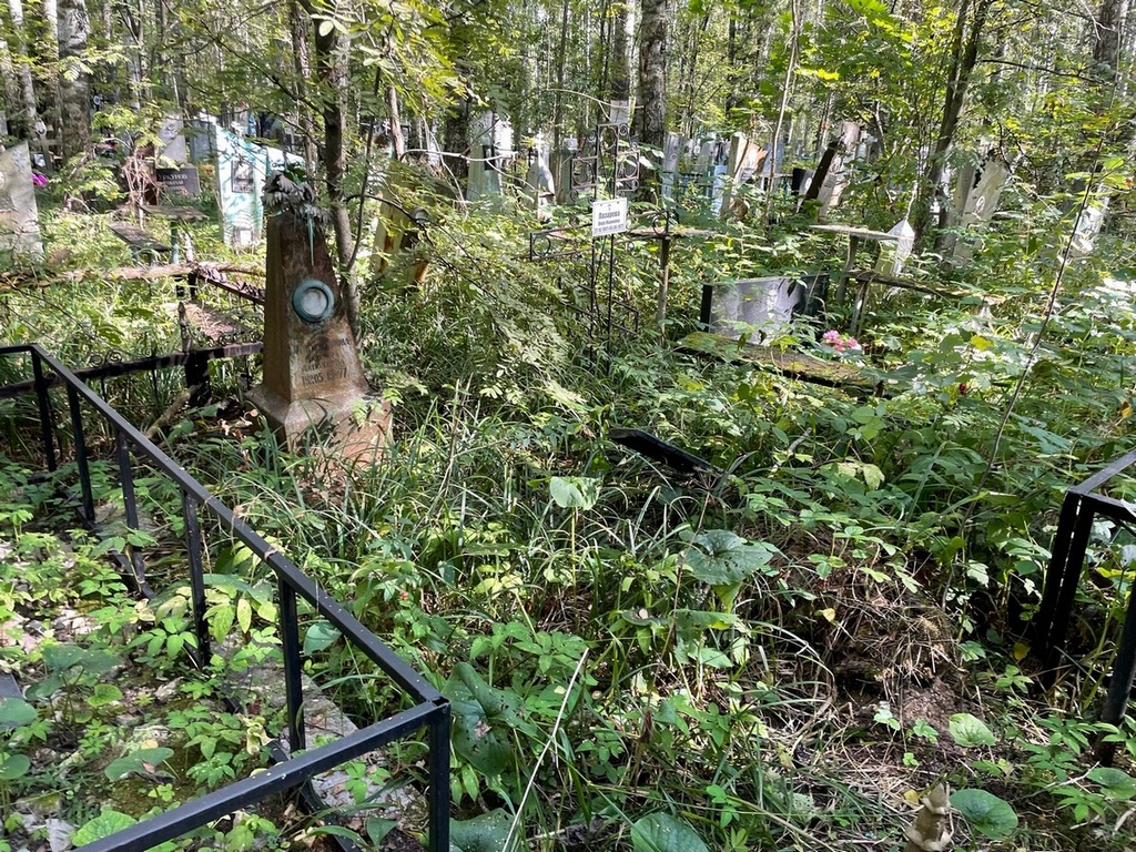Александрова Надежда Алексеевна