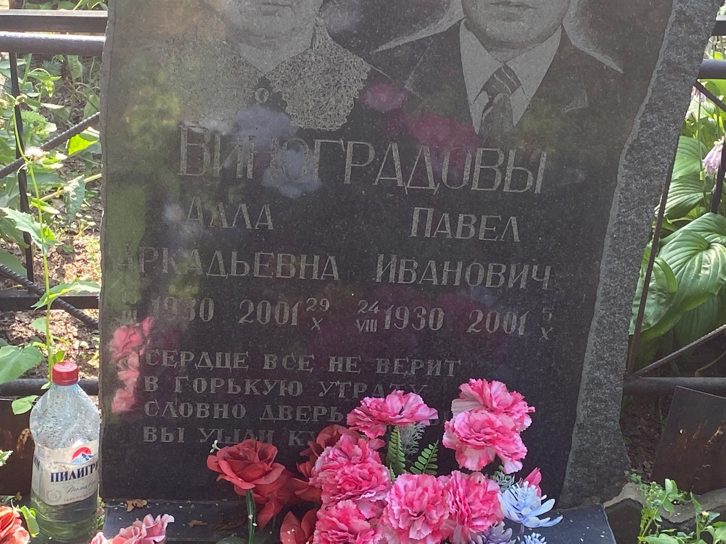 Виноградов